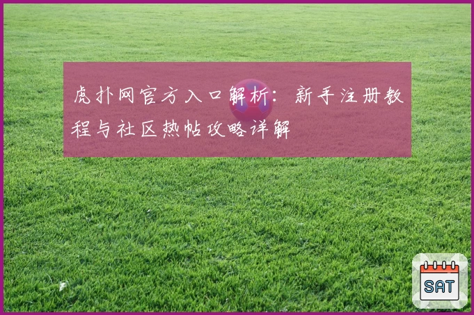 虎扑网官方入口解析：新手注册教程与社区热帖攻略详解